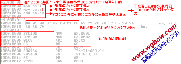 输入汇编并查看