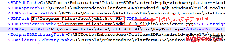 RADStudio10.3安装28.png