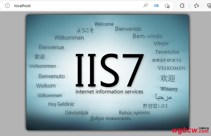 IIS配置成功